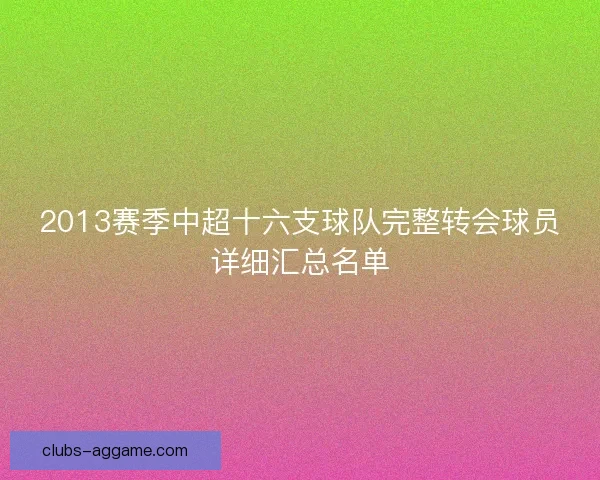 2013赛季中超十六支球队完整转会球员详细汇总名单